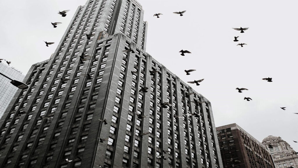 Bird Safe Glass Legislation Featured