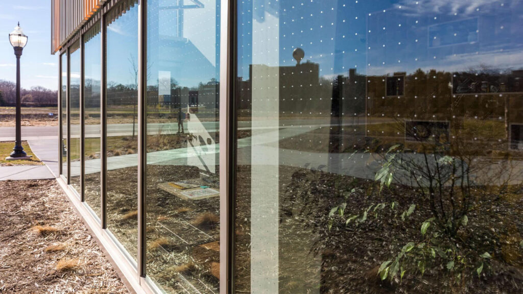 Bird Safe Glass Design Rules Featured