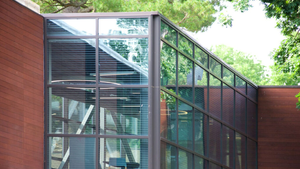 Bird Safe Glass Explained Featured