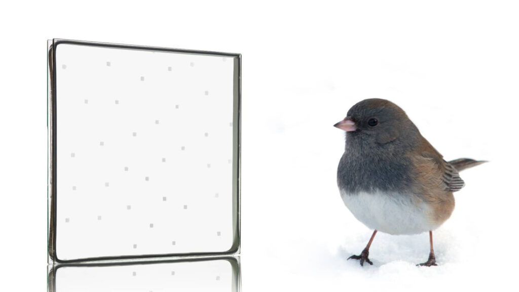 2 New Aviprotek Bird Friendly Solutions