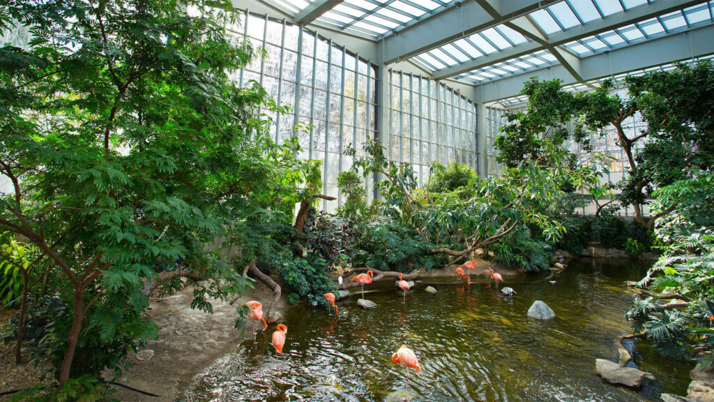 National Aviary Wetlands Habitat Case Study Featured