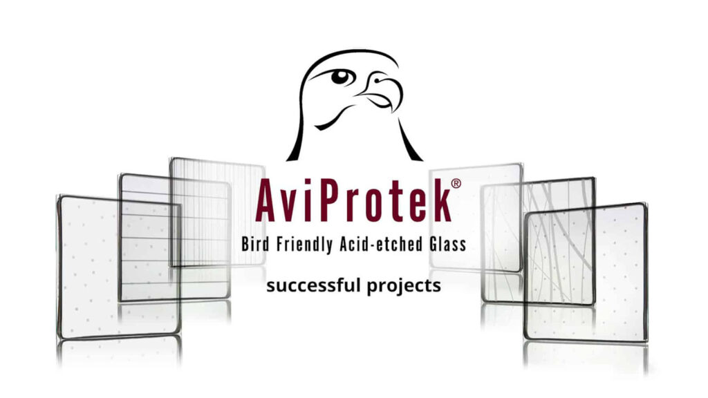 Effectiveness Of Aviprotek Bird Friendly Glass Featured
