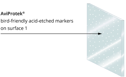 walker-aviprotek-surface1-diagram-bird-friendly-glass-1-v2