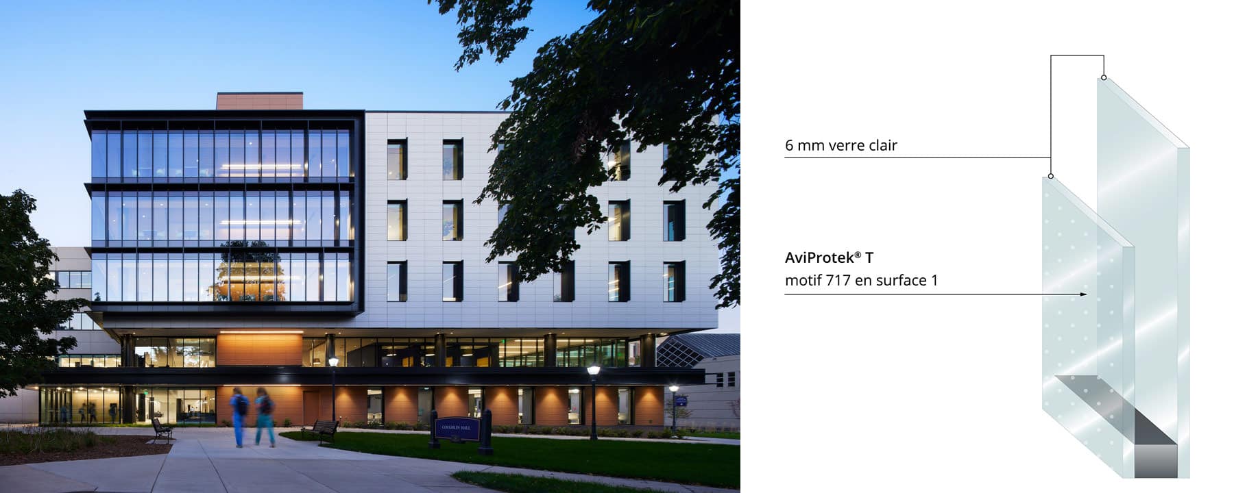 Marquette University College of Nursing with AviProtek T bird friendly glass
