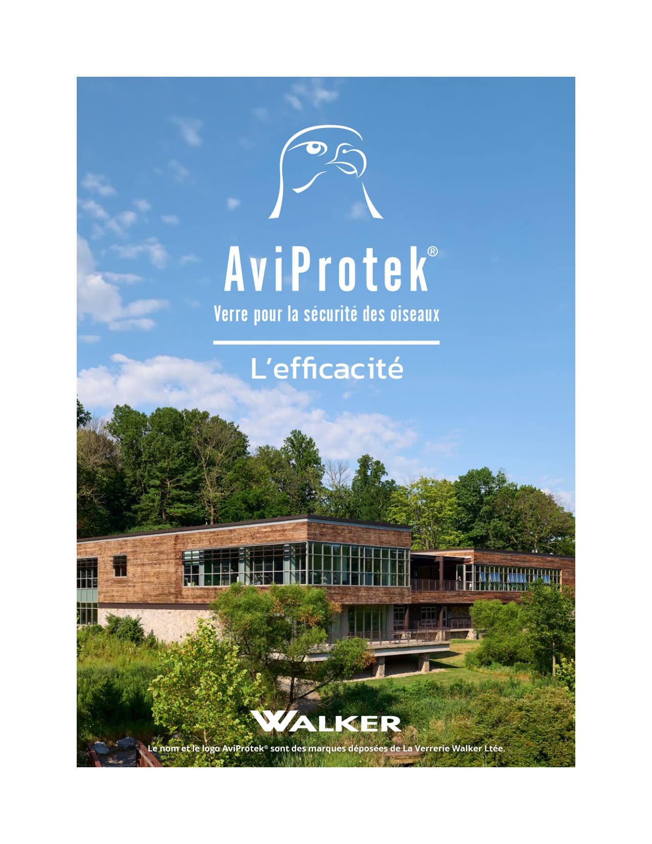 The Effectiveness of AviProtek bird friendly glass