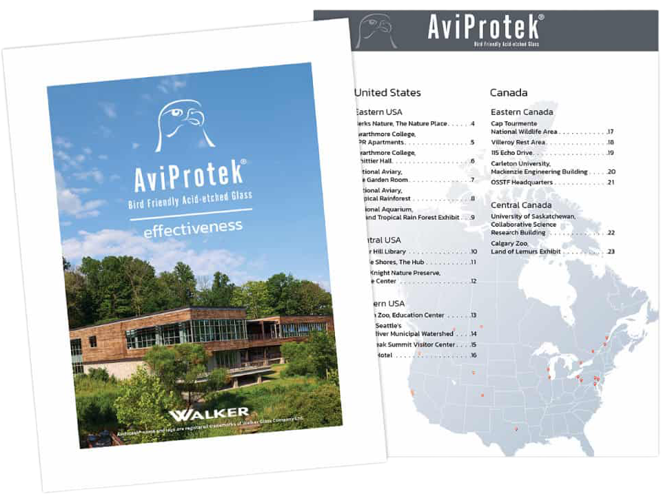 effectiveness-of-aviprotek-bird-friendly-glass-p1-cover