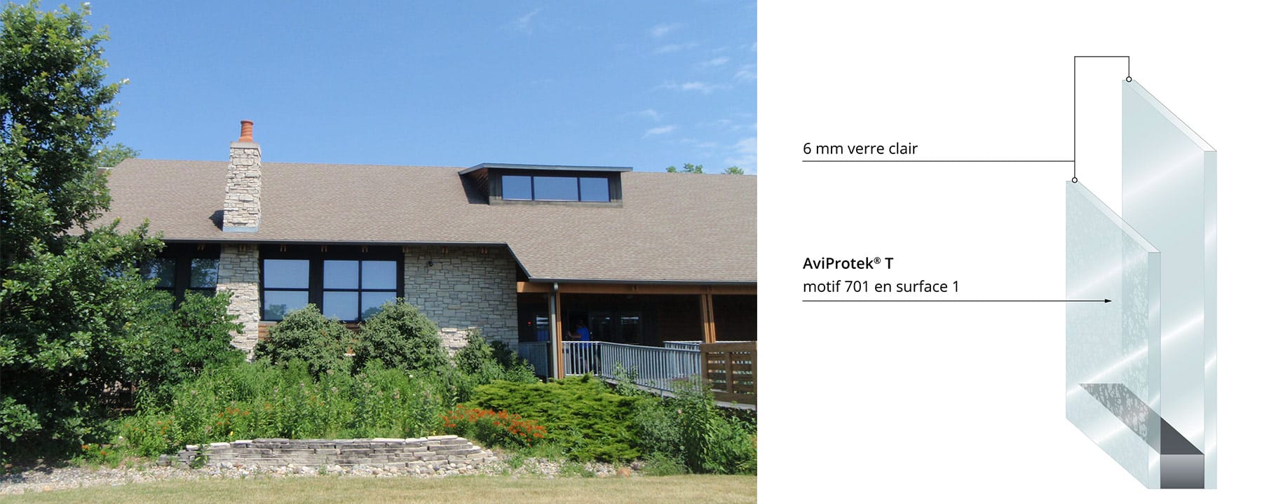 W.W. Knight Nature Center with AviProtek T bird friendly glass