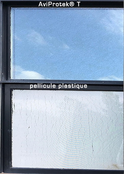 WW Knights_plasticVSaviprotek_FR