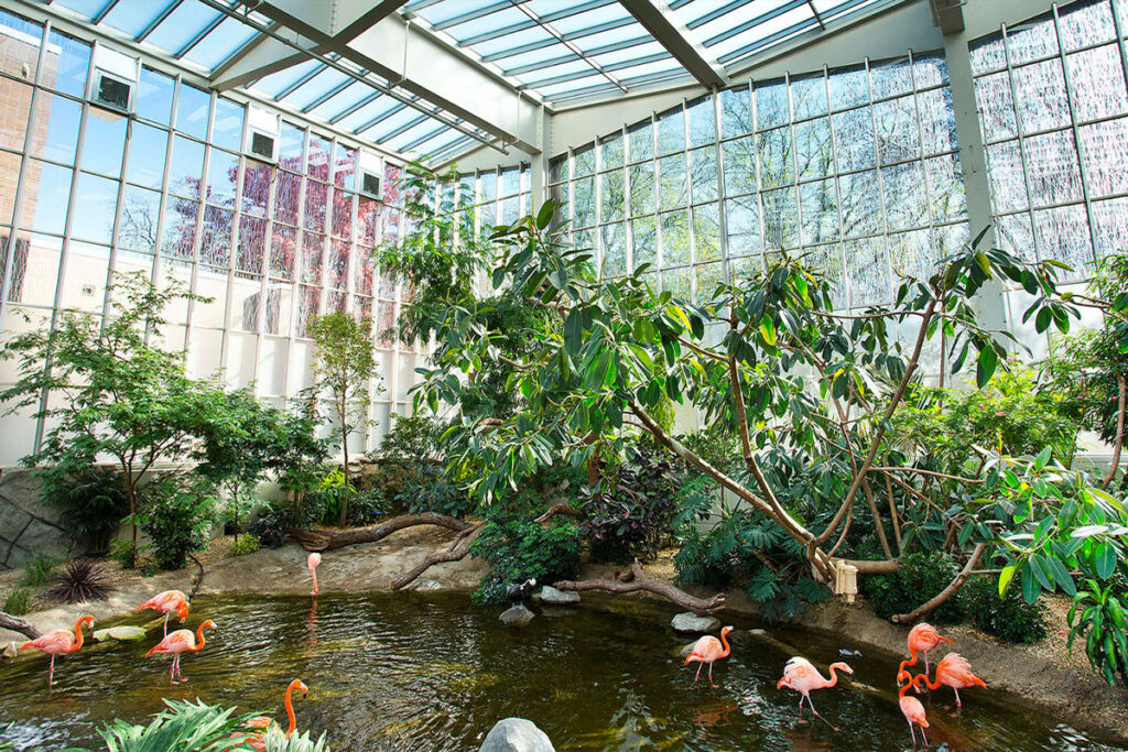Aviprotek And Acid Etched Glass At The National Aviary Wetlands Habitat In Pittsburgh Pa
