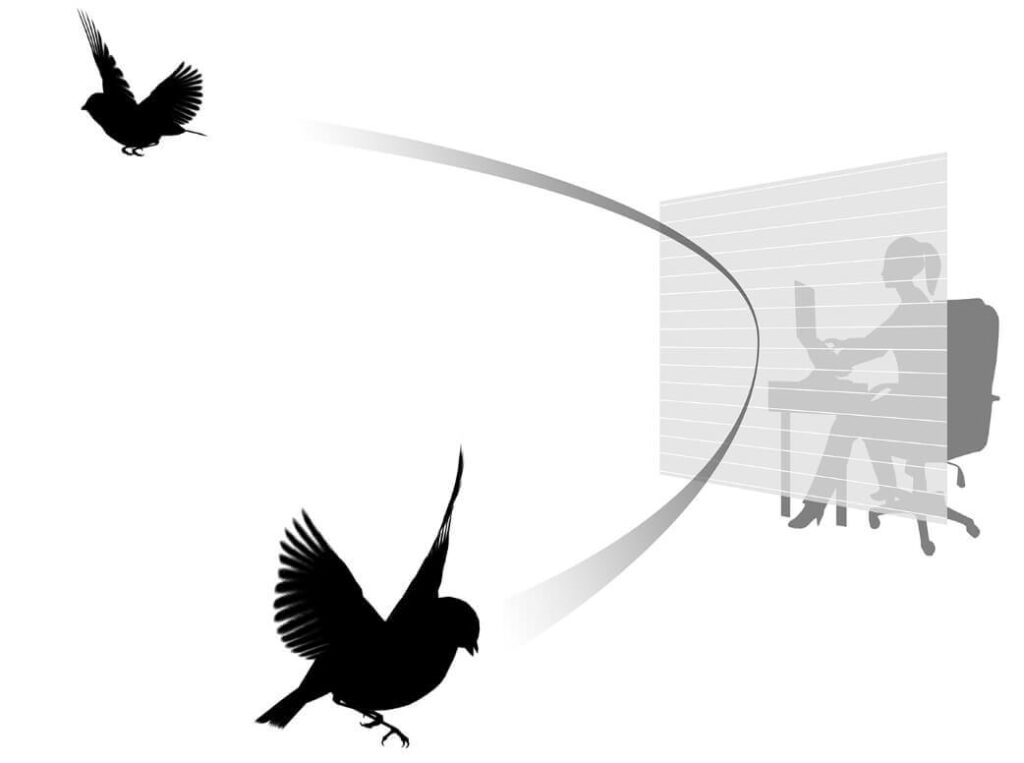 bird-friendly-glass-the-solution
